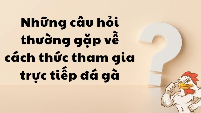 Những câu hỏi thường gặp về cách thức tham gia trực tiếp đá gà