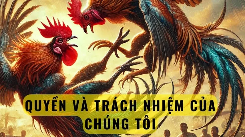 Quyền và trách nhiệm của người sử dụng